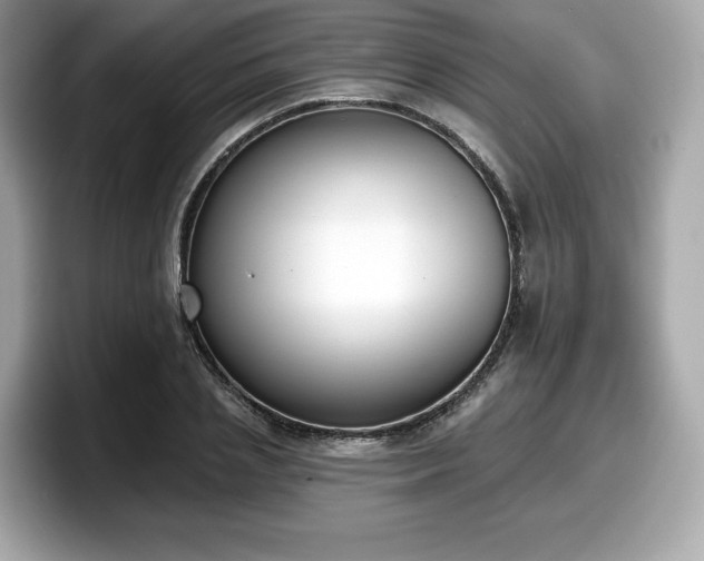 X0000098110837200804111053