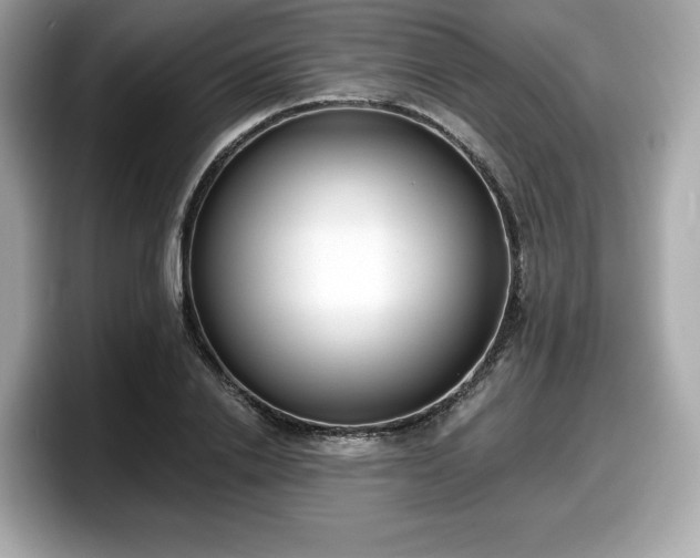 X0000098110838200804111053