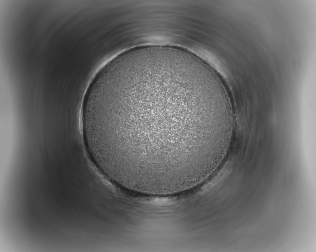 X0000098110839200804111053