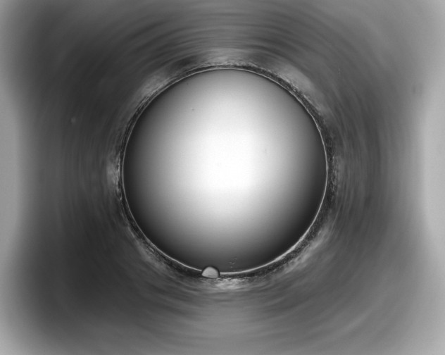 X0000098110841200804111053