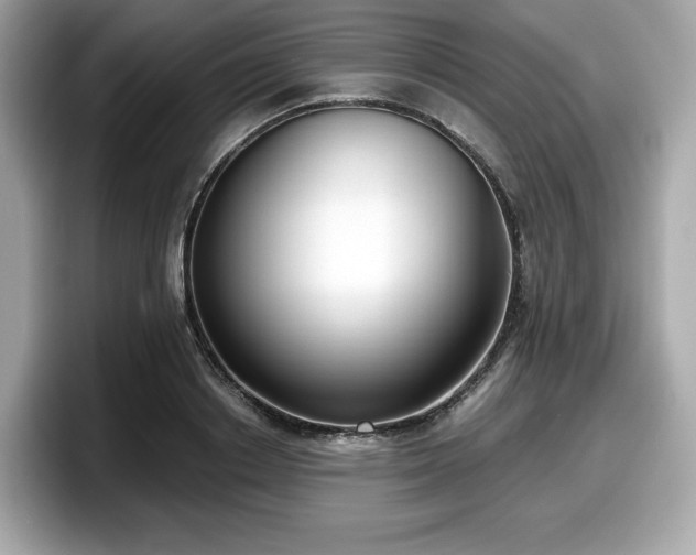 X0000098110842200804111053