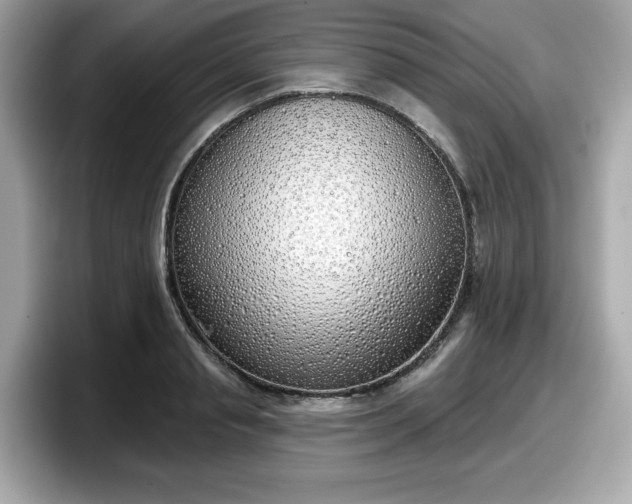 X0000098110845200804111053