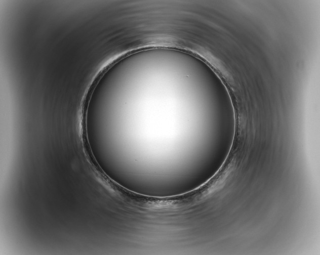 X0000098110846200804111053