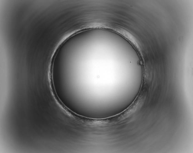 X0000098110847200804111054
