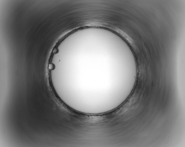 X0000098110848200804111054