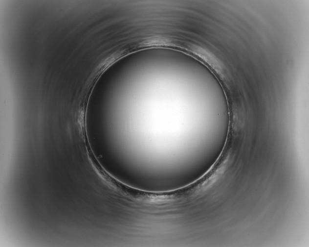 X0000098110849200804111054