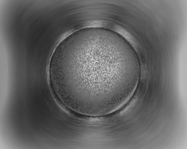 X0000098110850200804111054
