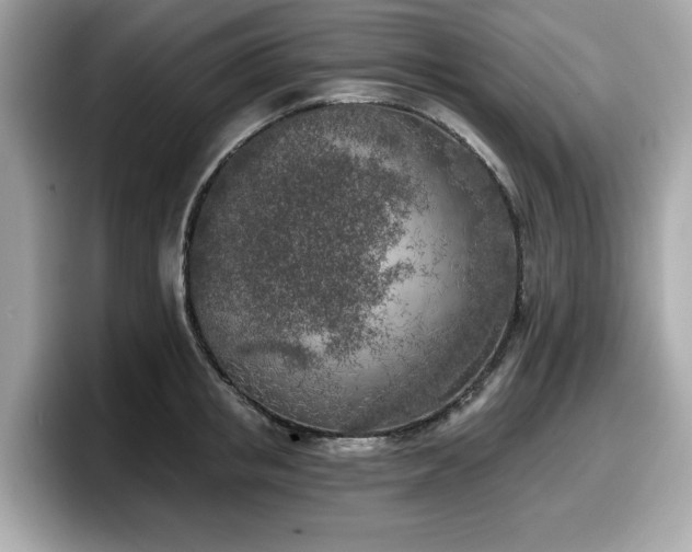 X0000098110853200804111054