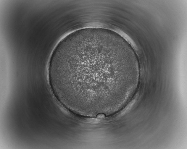 X0000098110854200804111054