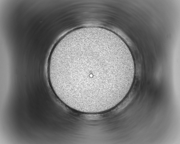 X0000098110856200804111054