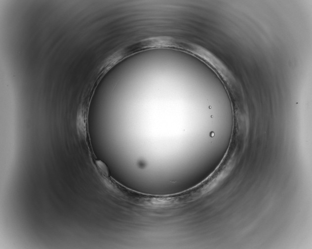 X0000098110857200804111054