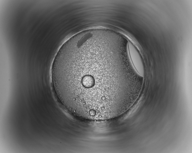 X0000098110858200804111054