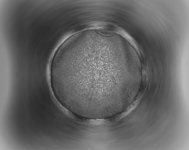 X0000098110859200804111054