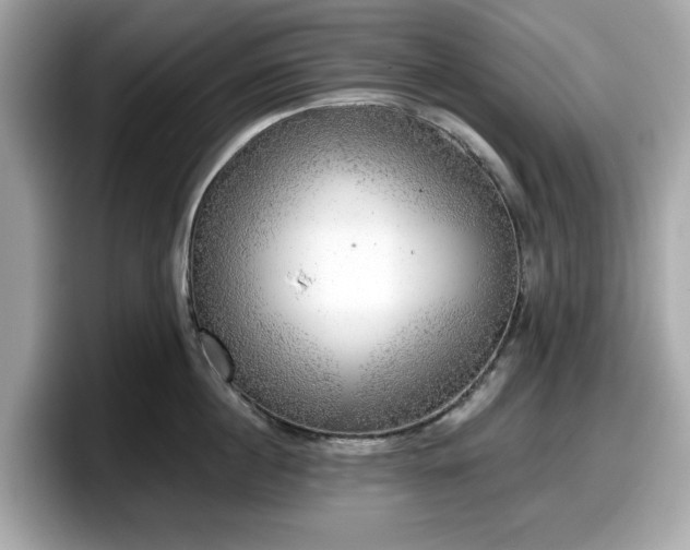 X0000098110860200804111054