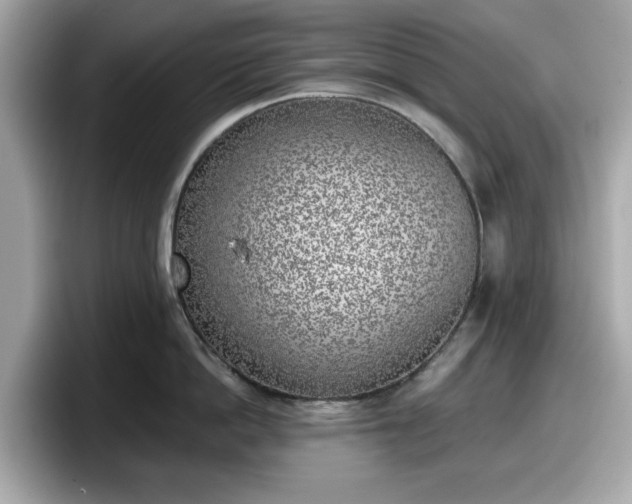 X0000098110862200804111054