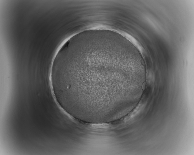 X0000098110863200804111054