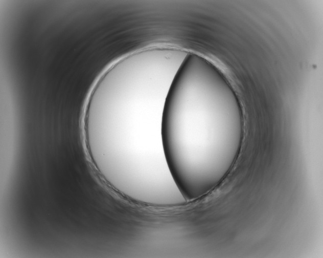 X0000098110864200804111054