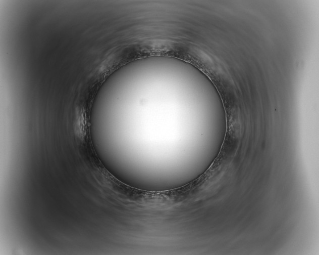 X0000098110866200804111053