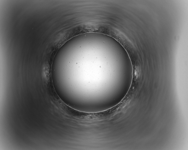 X0000098110867200804111053