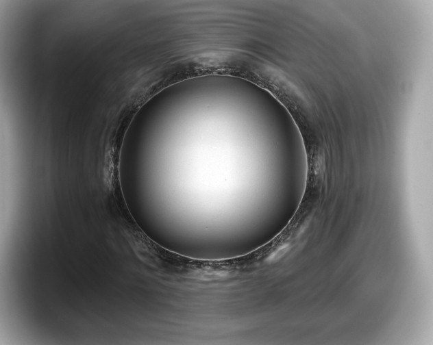 X0000098110868200804111053