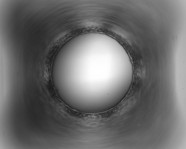 X0000098110869200804111053