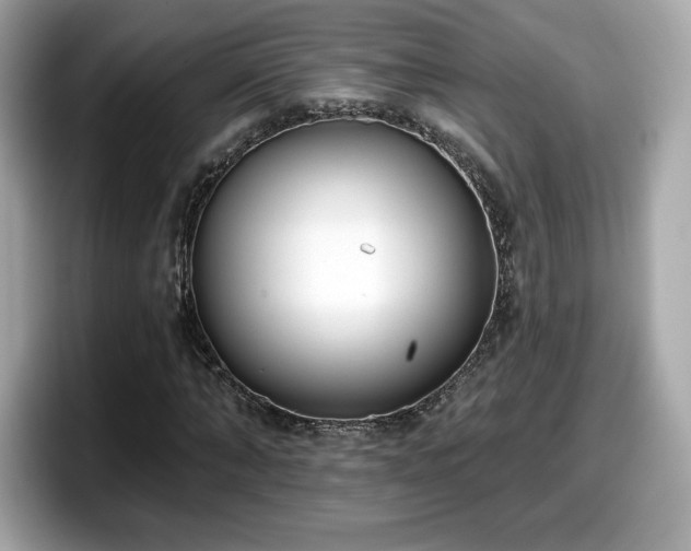 X0000098110870200804111053