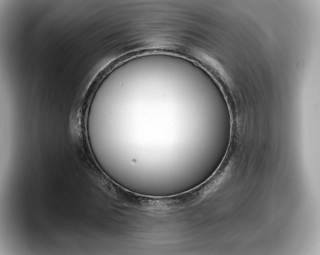 X0000098110875200804111053