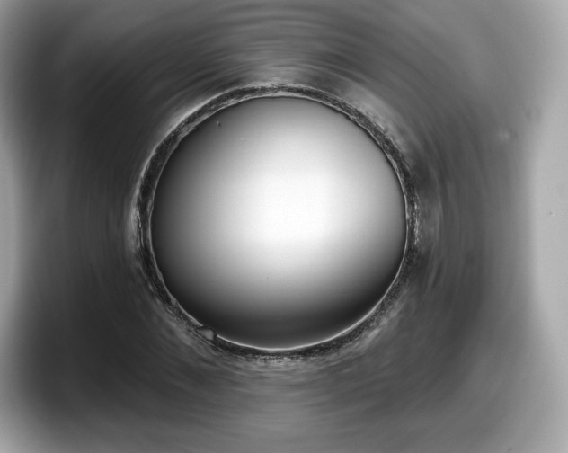 X0000098110876200804111053