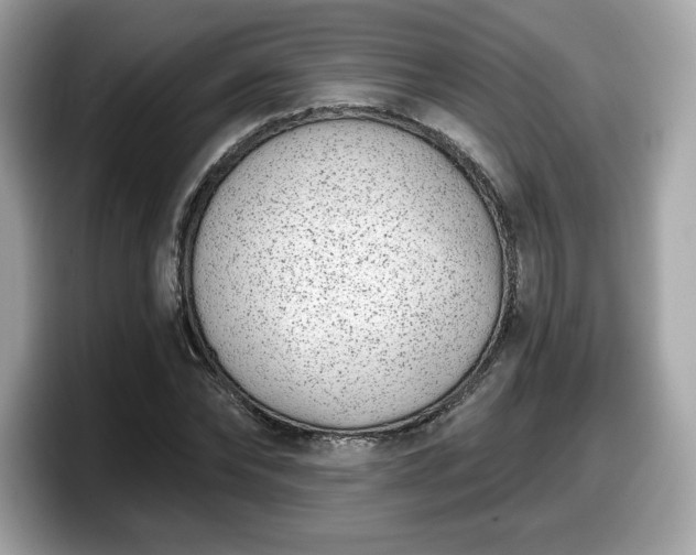 X0000098110878200804111053