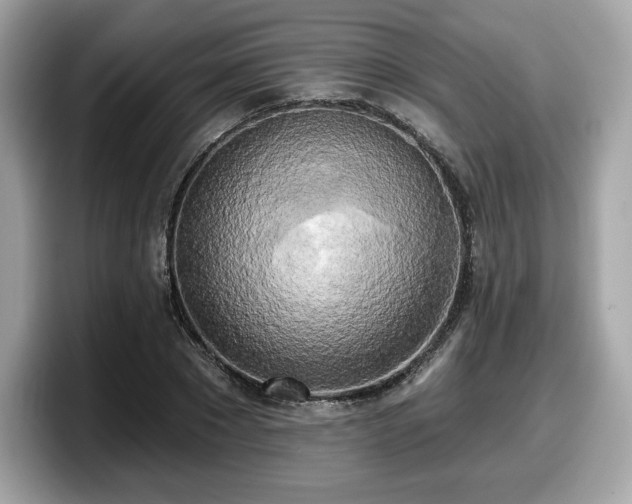 X0000098110881200804111053