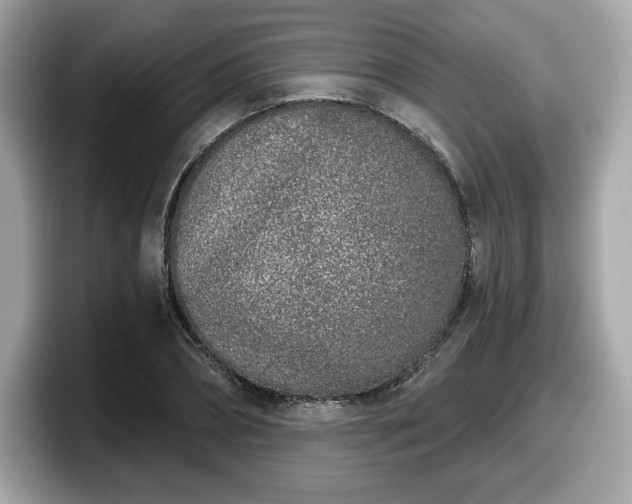 X0000098110882200804111053