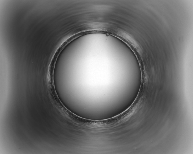 X0000098110883200804111053