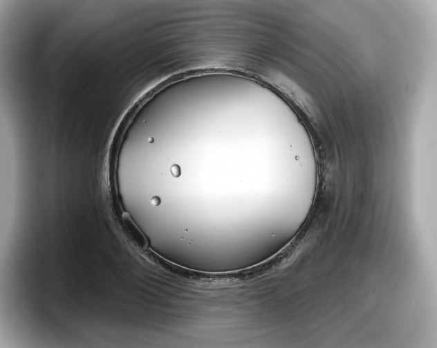 X0000098110884200804111053