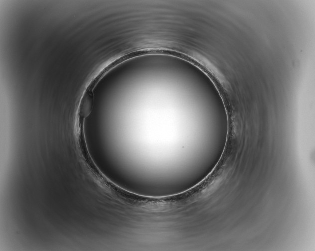 X0000098110885200804111053