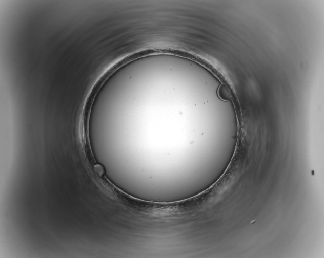 X0000098110887200804111053