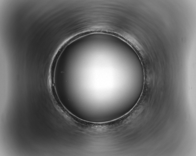 X0000098110888200804111053