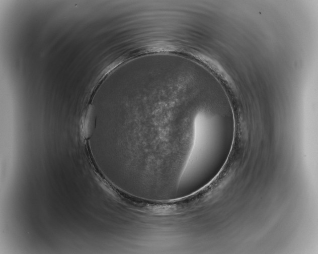 X0000098110889200804111053