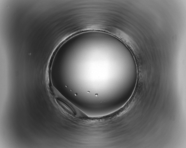 X0000098110892200804111053