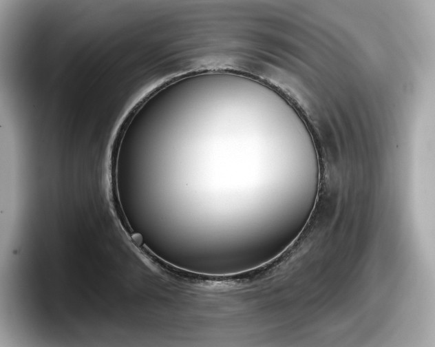 X0000098110894200804111053
