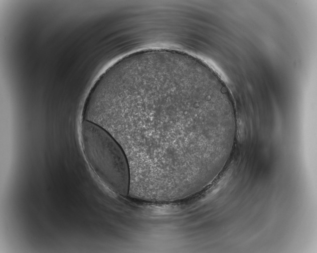 X0000098110895200804111053