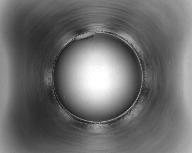 X0000098110897200804111053