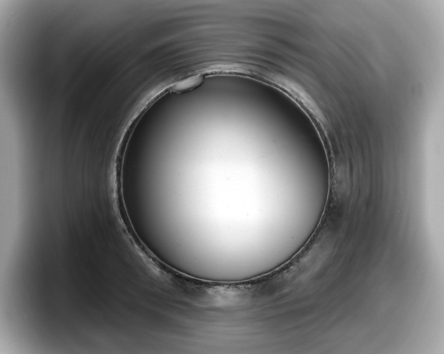 X0000098110898200804111053
