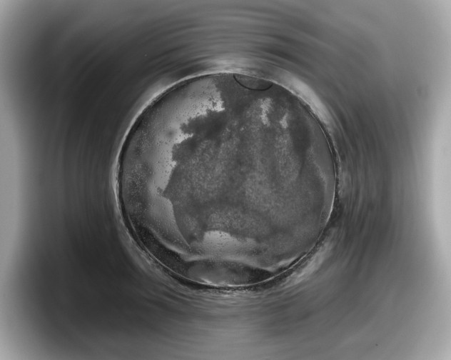 X0000098110899200804111053