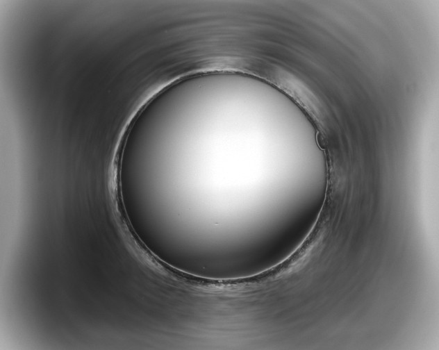 X0000098110900200804111053