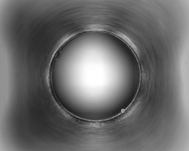 X0000098110901200804111053