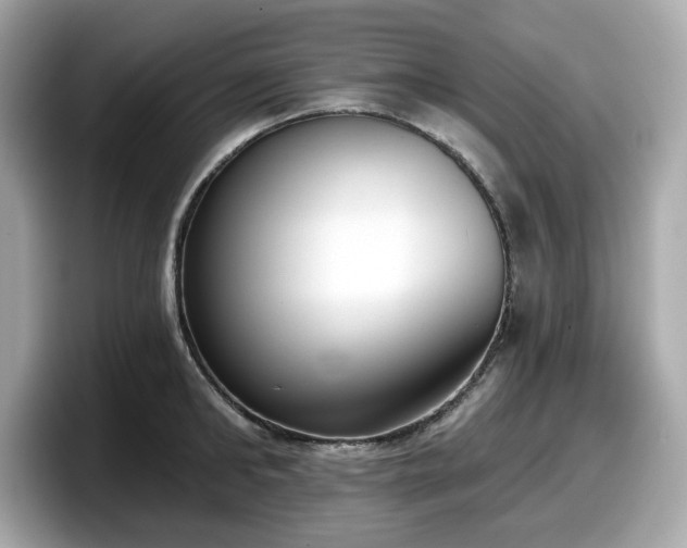 X0000098110902200804111053
