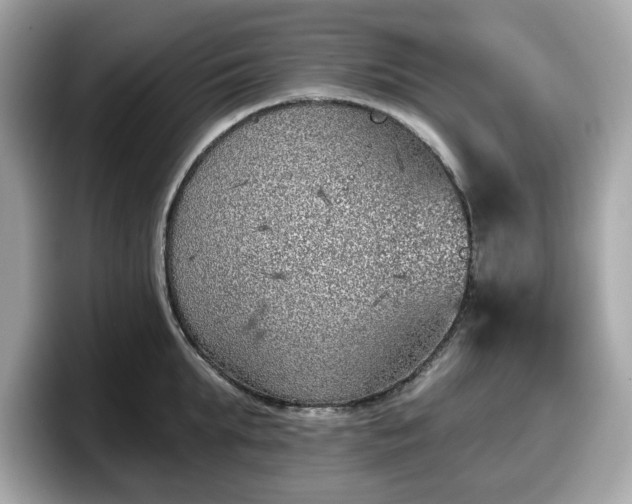 X0000098110903200804111053