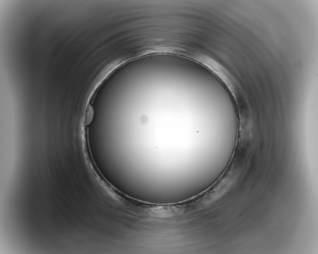 X0000098110906200804111053
