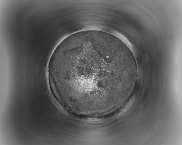 X0000098110907200804111053
