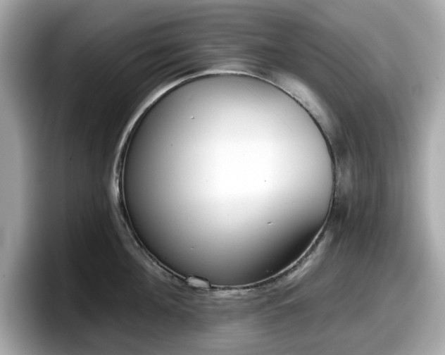 X0000098110908200804111053